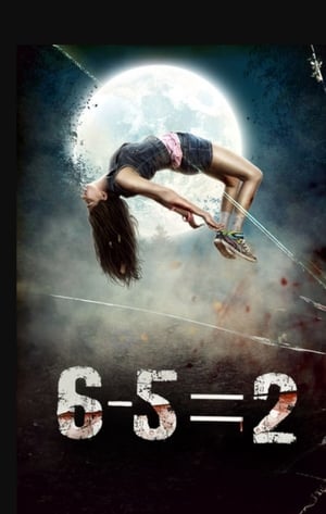6-5=2 2014 Hindi Movie [780MB] HD Poster Download - filmyfly