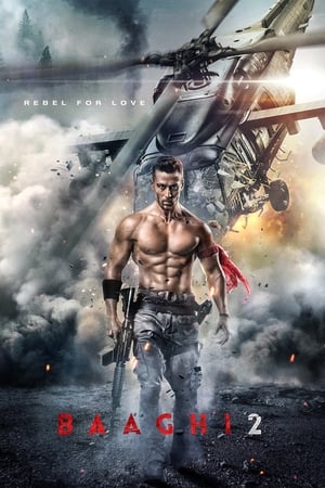 Baaghi 2 2018 Movie [700MB] HD Poster Download - filmyfly