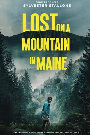 Lost on a Mountain in Maine 2024 Hindi Dubbed HD Poster Download - filmyfly