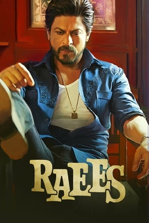 Raees 2017 Full Movie [1.2GB] Download HD Poster Download - filmyfly