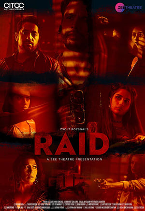 Raid 2019 Hindi Movie - [250MB] HD Poster Download - filmyfly