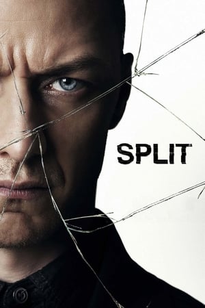 Split (2017) Full Movie Download [HD-] 450MB HD Poster Download - filmyfly