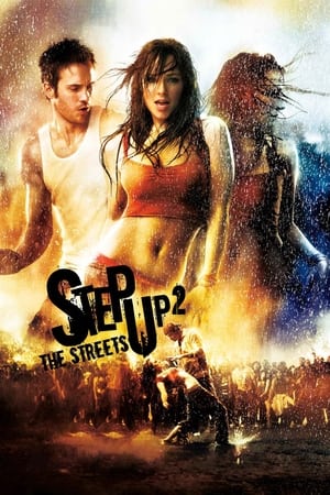 Step Up 2 The Streets 2008 Hindi Dual Audio [700MB] HD Poster Download - filmyfly