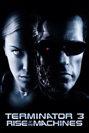 Terminator 3: Rise of the Machines (2003) Hindi Dual Audio [850MB] HD Poster Download - filmyfly
