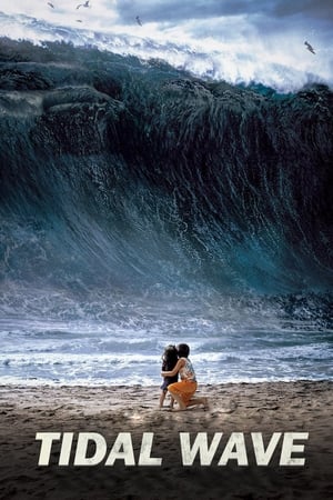 Tidal Wave (2009) Hindi Dual Audio 350MB ESubs HD Poster Download - filmyfly